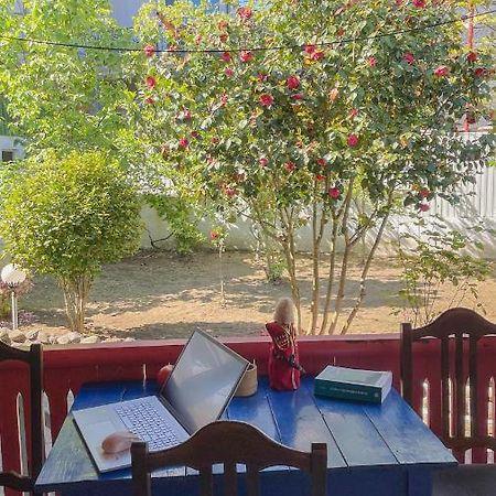 Cottage Коттеджи С Балконом Kobuleti Eksteriør bilde